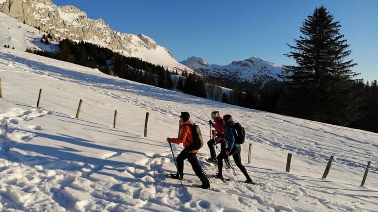 Randonnée accompagnée